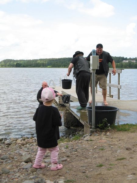 450x600 pixels (85K)